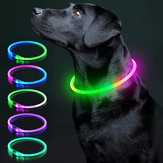 LED Dog Collar – USB Rechargeable, 3 Modes