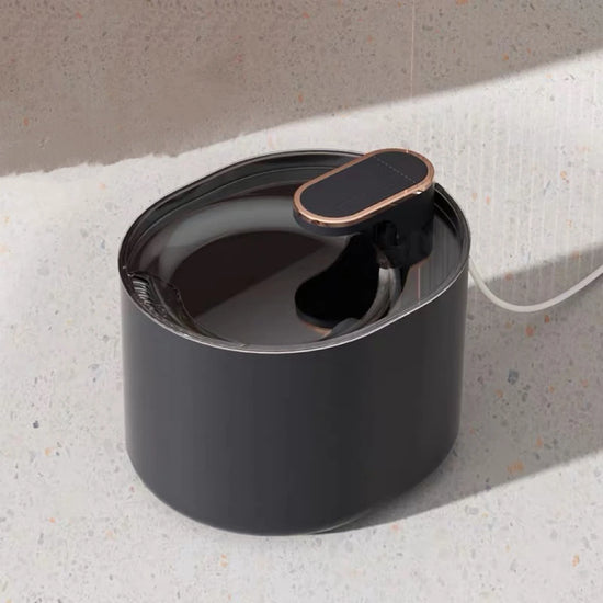 Automatic Pet Water Fountain – 3L Filter